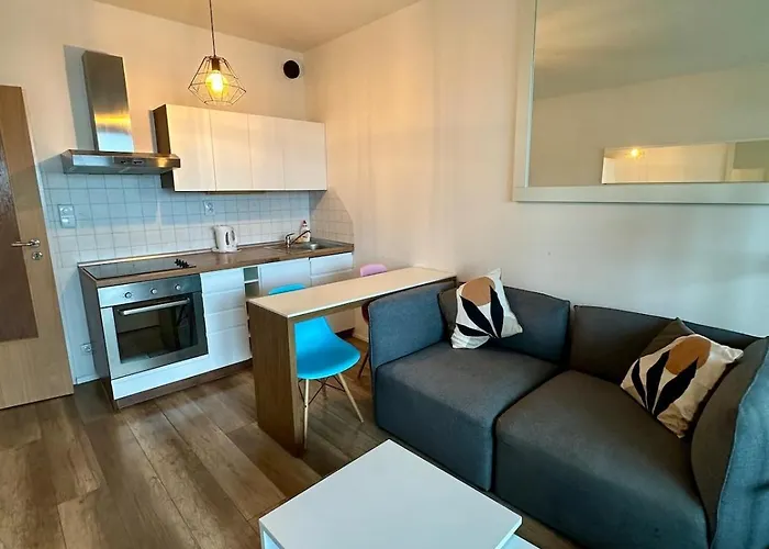 Lejlighed Terrace Near Centre, Parking, River Park *